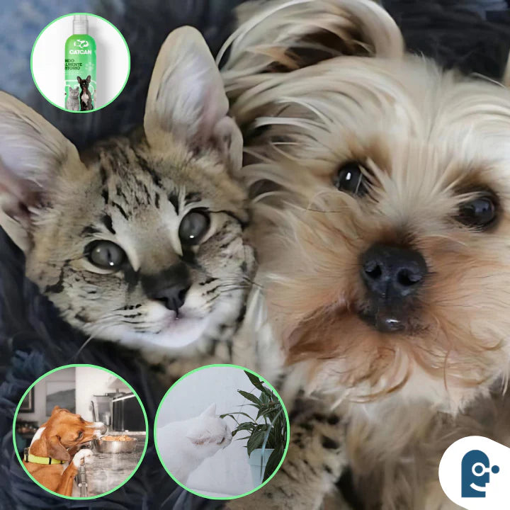 Repelente de Mascotas - Protección Segura y Amor por tu Hogar